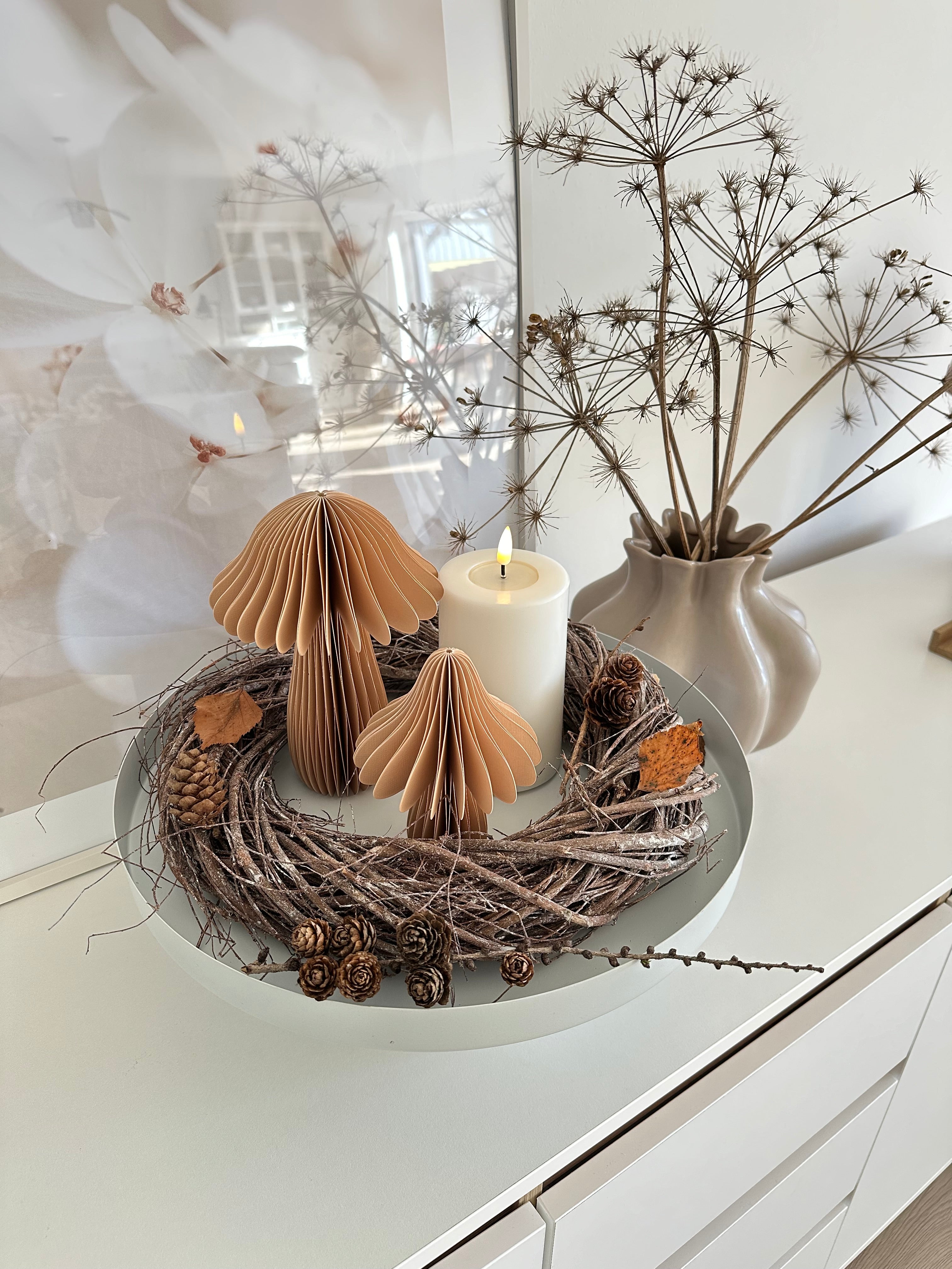 Pilze Papier, Svamp - 2 tl. Set