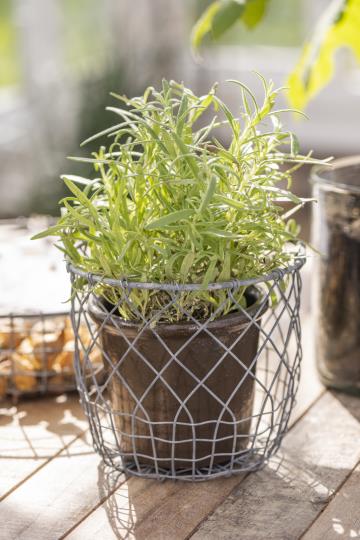 Korb Set/ Topfset Drahtkörbe, 2tlg. - Zink