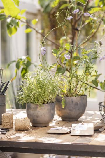 Topf/ Übertopf glatt mit konischem Boden, Ø: 16,5 cm - Zink