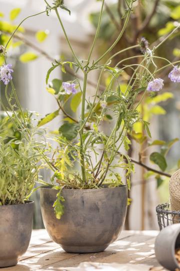 Topf/ Übertopf glatt mit konischem Boden, Ø: 16,5 cm - Zink