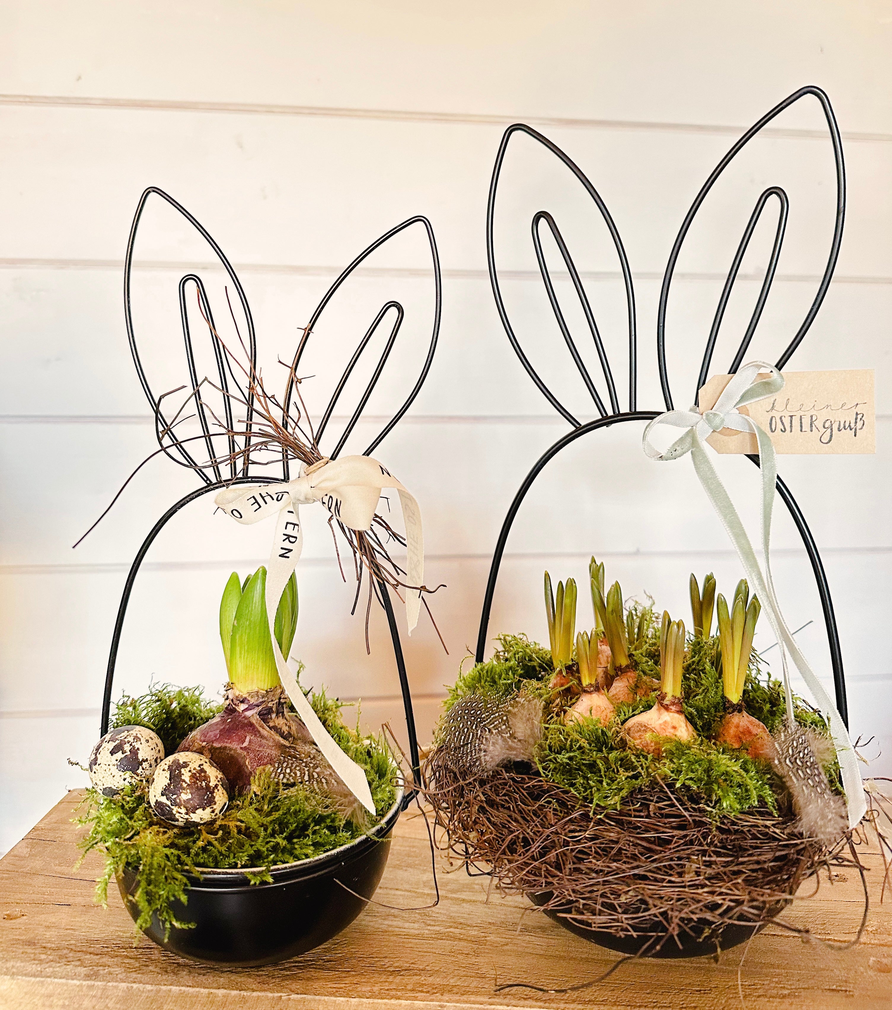 Pflanzschale/ Schale Metall mit Hasenohren, schwarz - 2 Größen