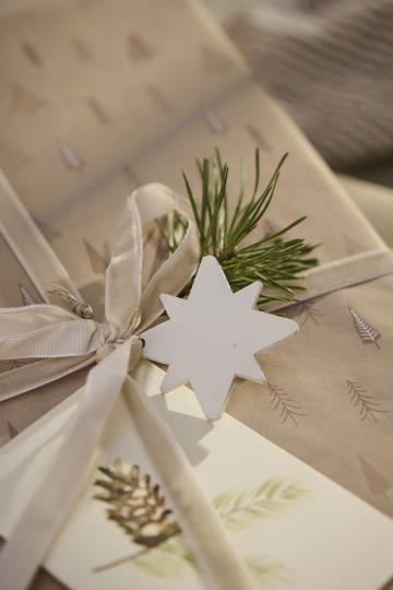 Geschenkanhänger/ Anhänger Stern, Holz, weiß oder naturfarben - je Farbe 5 Stück