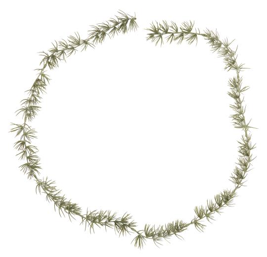 Zederngirlande, künstlich - 1,50 m