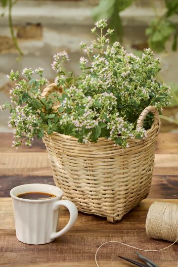 Vietnam-Korb Bambus mit Henkeln - 23 cm