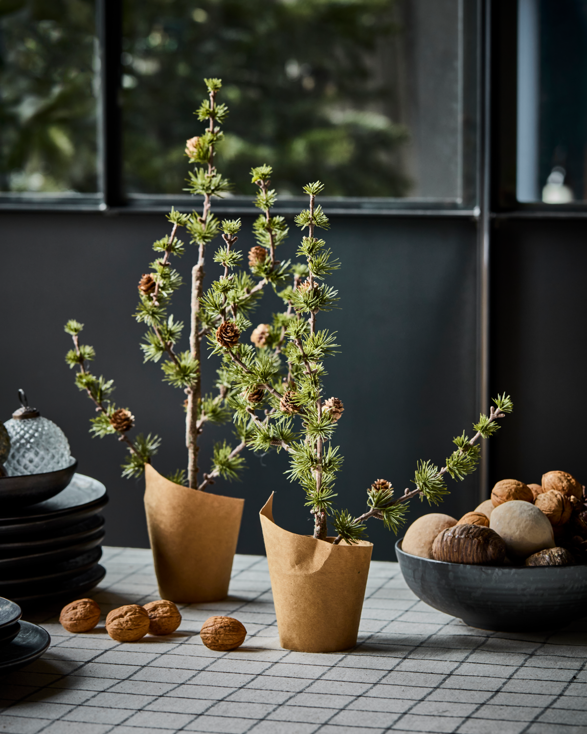 Zeder/ Weihnachtsbaum mit Papiertopf, HDStay - 40 cm