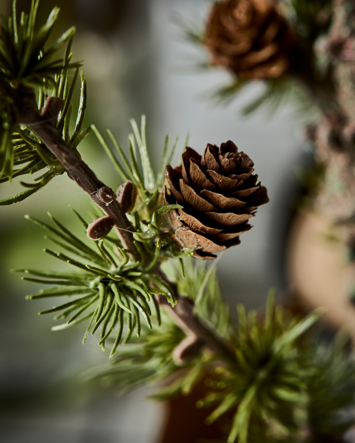 Zeder/ Weihnachtsbaum mit Papiertopf, HDStay - 40 cm