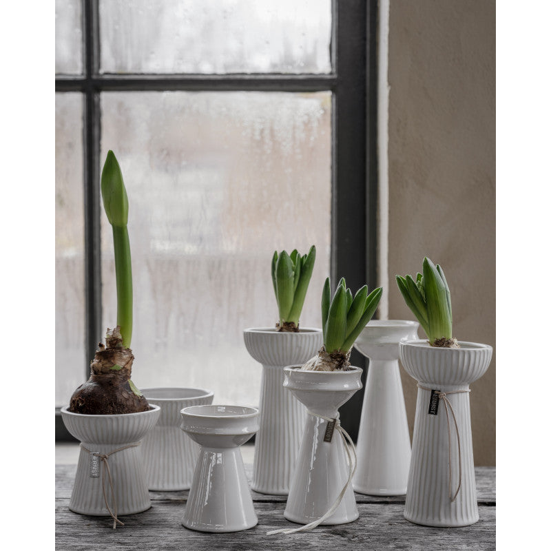 Hyazinthen Vase Lökvas, naturweiß - H 16 cm