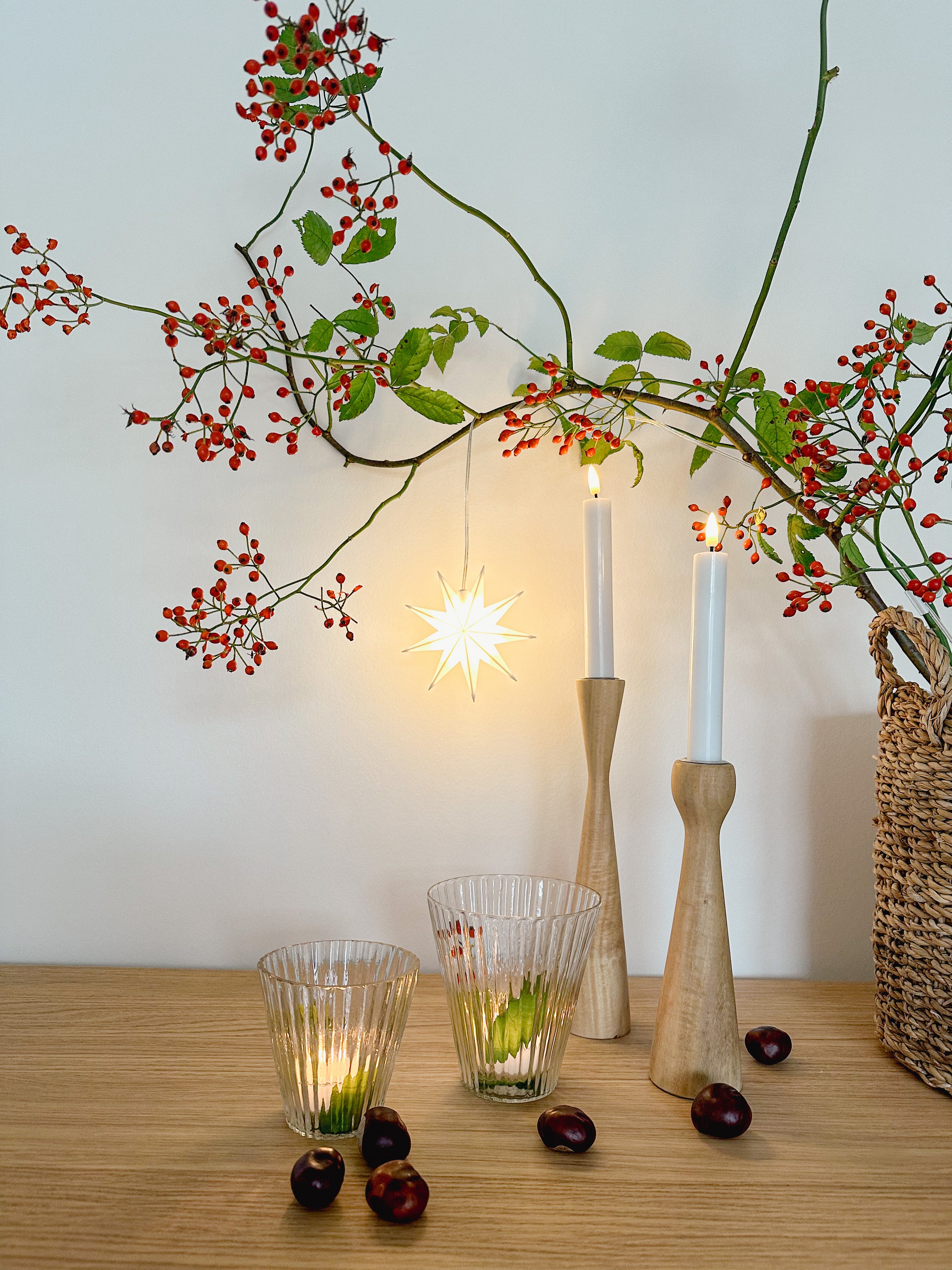 LED Leuchtstern/ Fensterstern 9 Zacken, weiß  Ø 11,5 cm mit Batteriefach und Timer