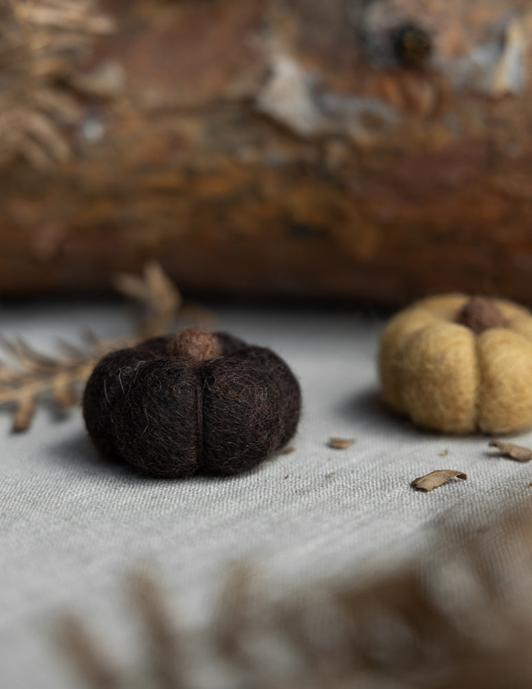 Kürbis Haga aus Filz, Fairtrade - dunkelbraun