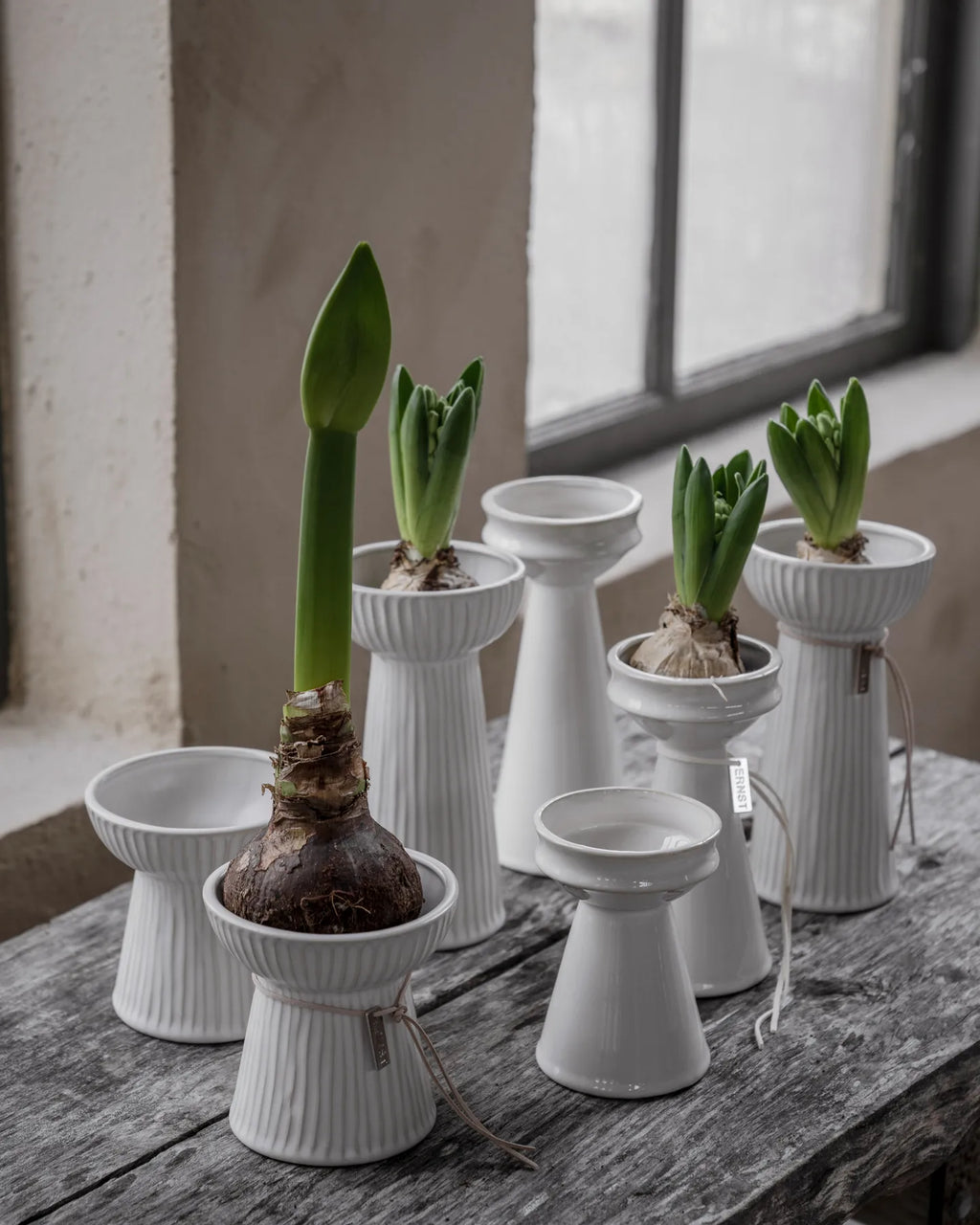 Hyazinthen Vase Lökvas, Rillen, naturalweiß - H 19 cm