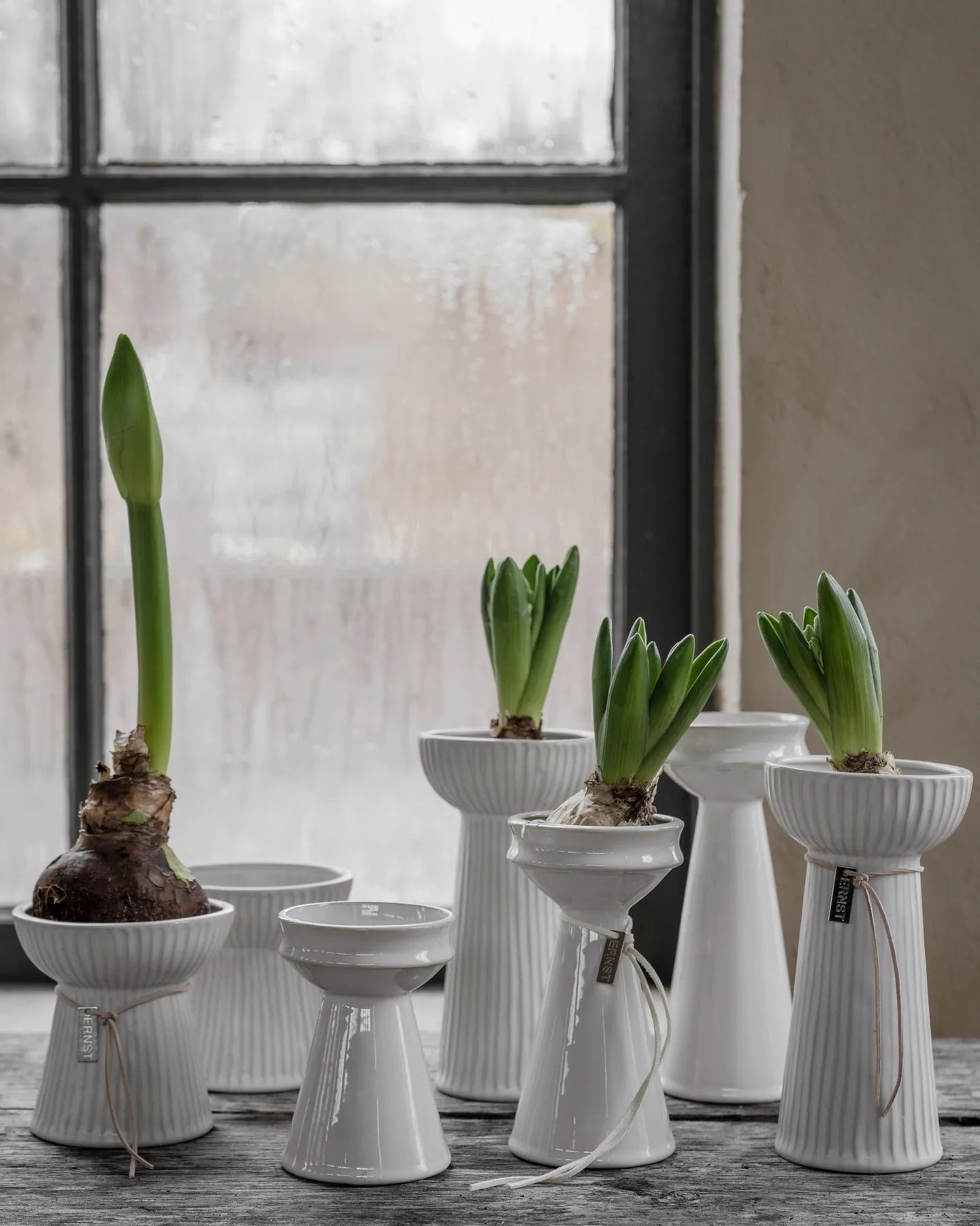 Hyazinthen Vase Lökvas, Rillen, naturalweiß - H 19 cm