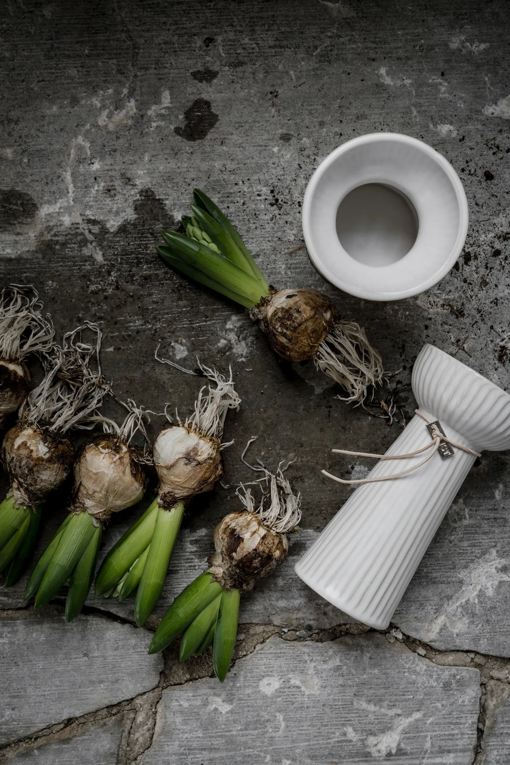 Hyazinthen Vase Lökvas, Rillen, naturalweiß - H 19 cm