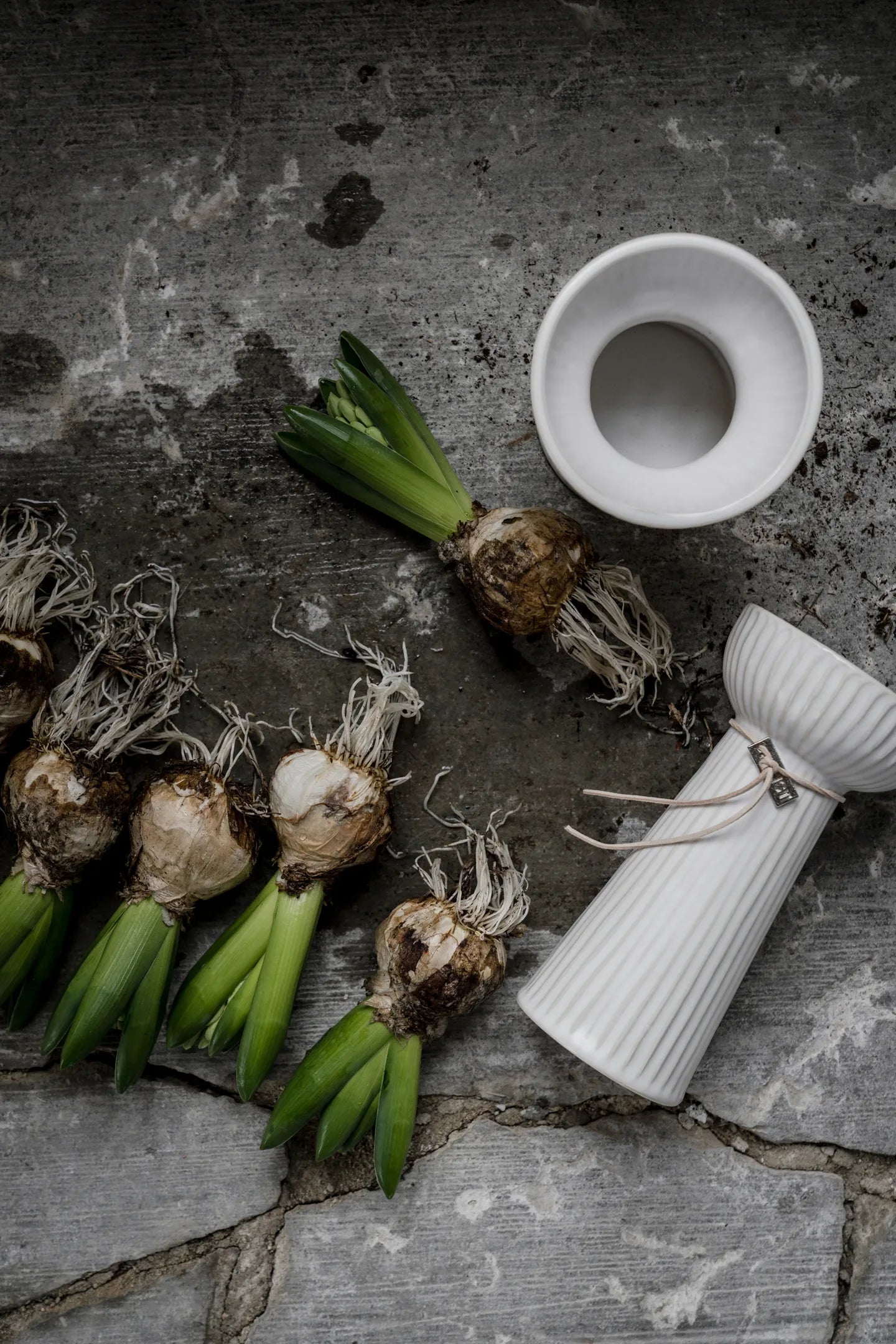 Hyazinthen Vase Lökvas, Rillen, naturalweiß - H 19 cm