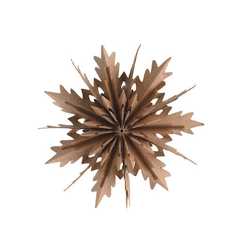 Papieranhänger Stern BRUNFLO - small