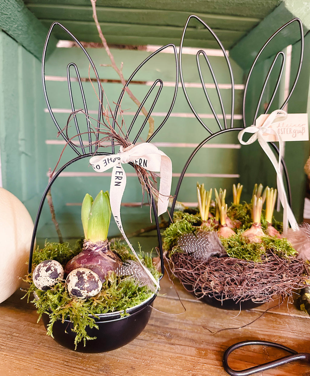 Pflanzschale/ Schale Metall mit Hasenohren, schwarz - 2 Größen