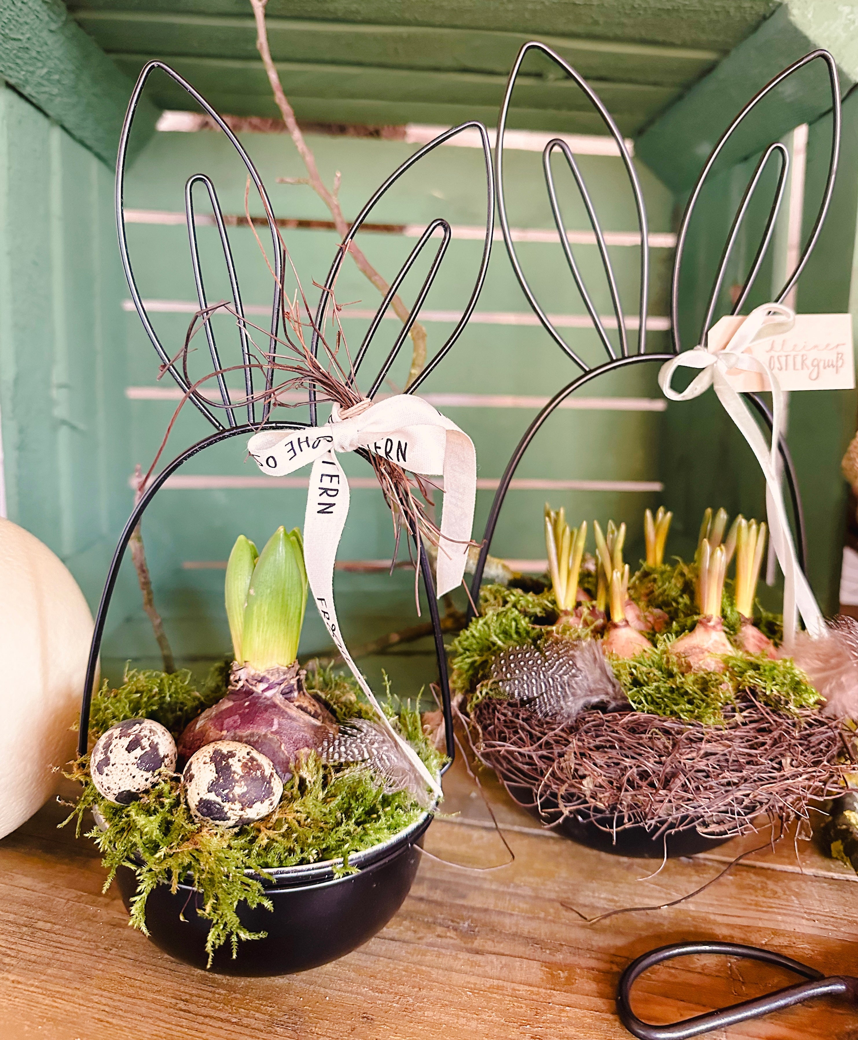 Pflanzschale/ Schale Metall mit Hasenohren, schwarz - 2 Größen