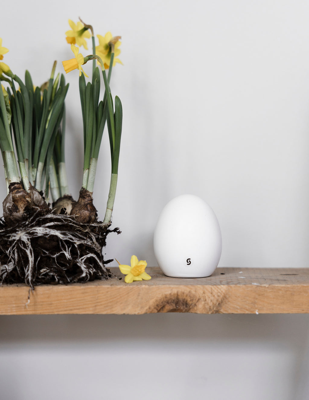 Osterei Bjuv weiß - small
