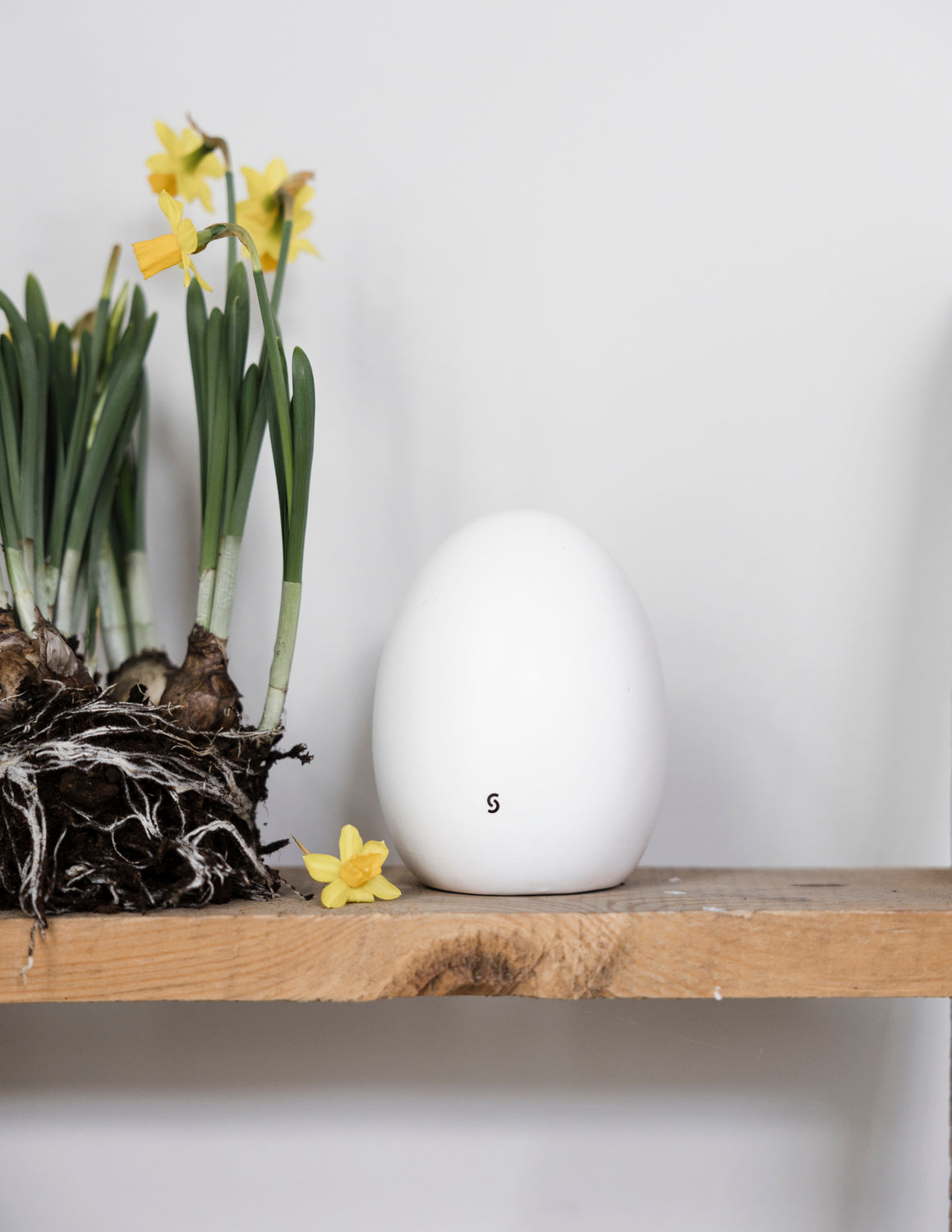 Osterei Bjuv weiß - large