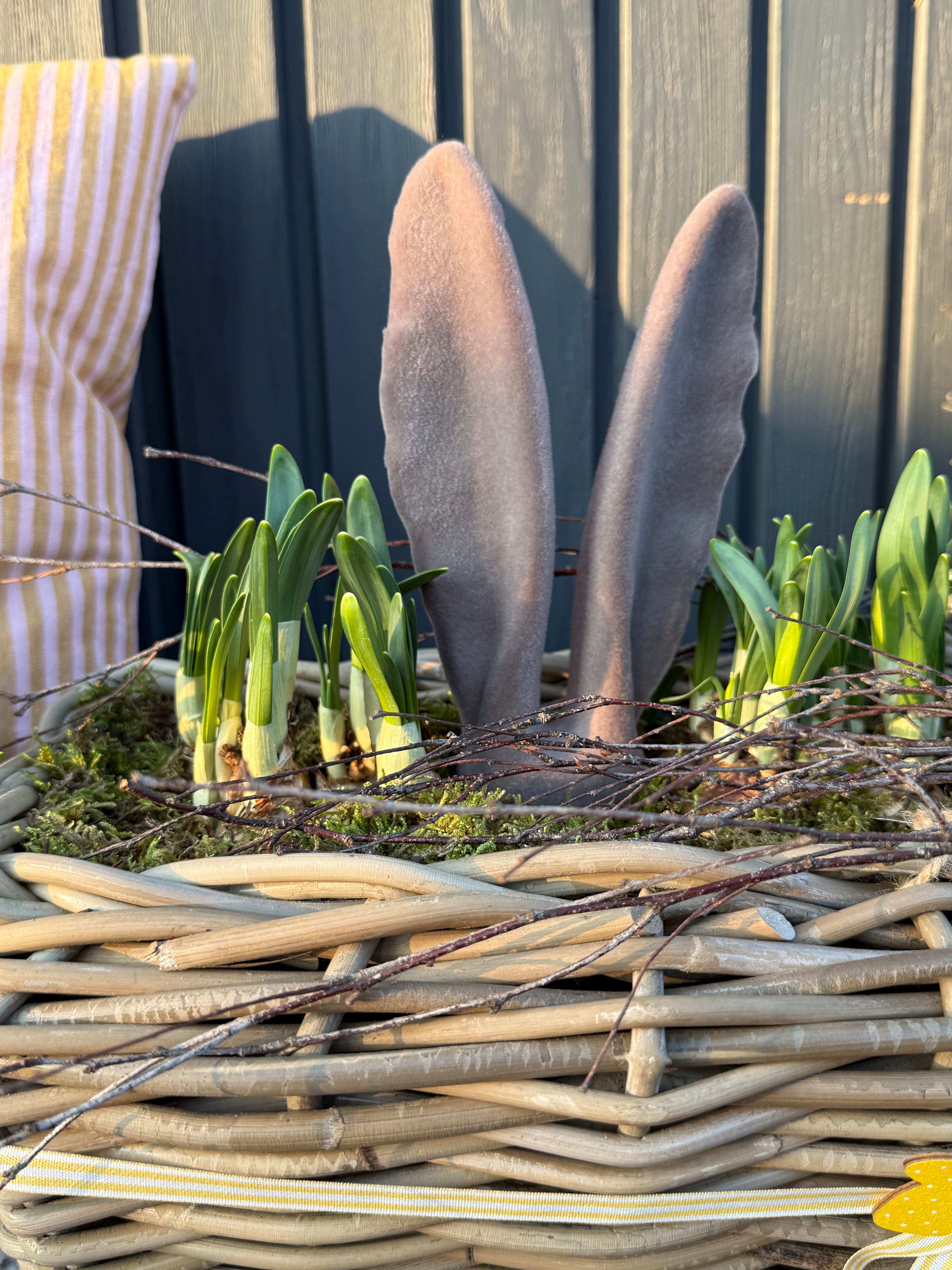 Hasenohren am Stab, Hasenohren groß 19,5 cm - Taupe