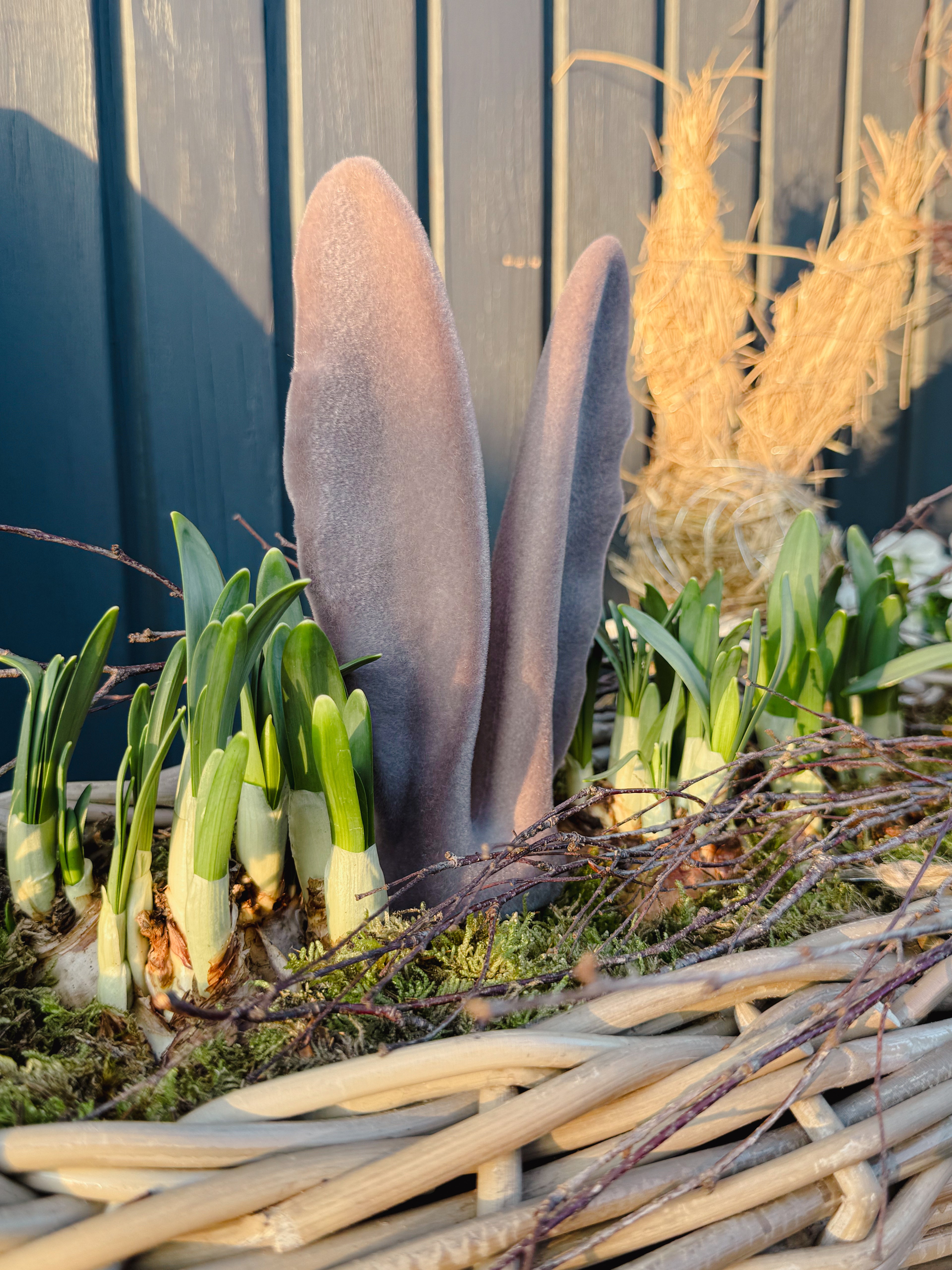 Hasenohren am Stab, Hasenohren groß 19,5 cm - Taupe
