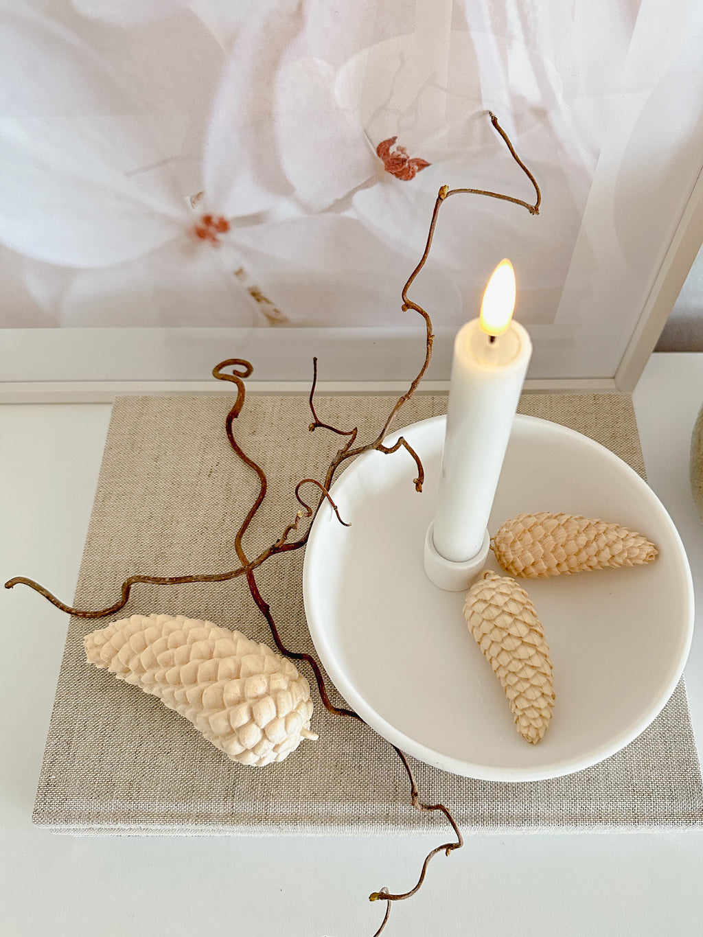 Zirbenholz Fichtenzapfen, natur - 7 cm