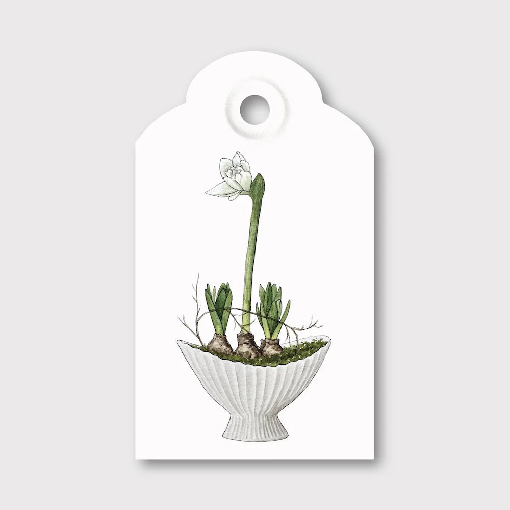 Geschenkanhänger "AMARYLLIS"