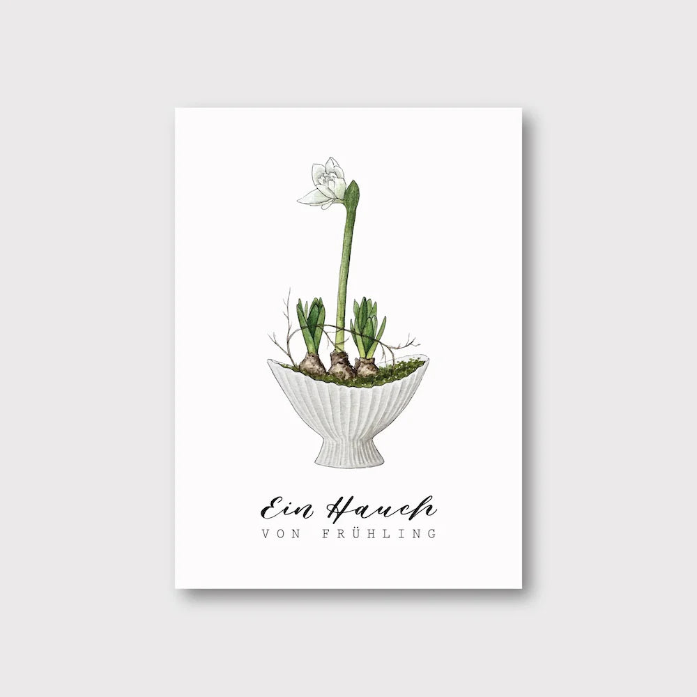 Postkarte "AMARYLLIS" Ein Hauch von Frühling - A6