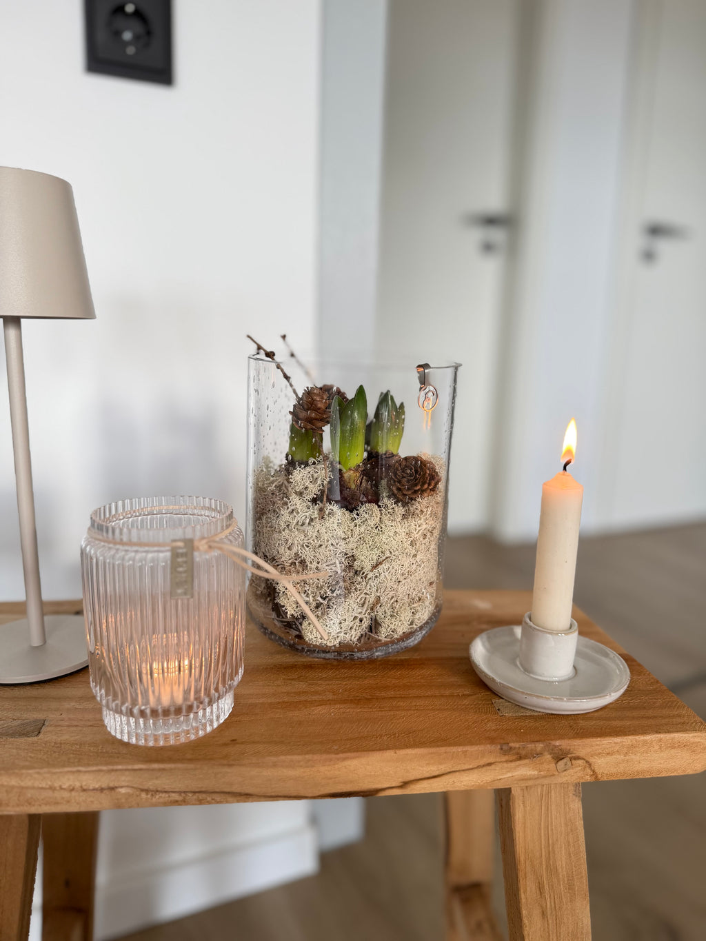 Island Moos Natural - 500 g