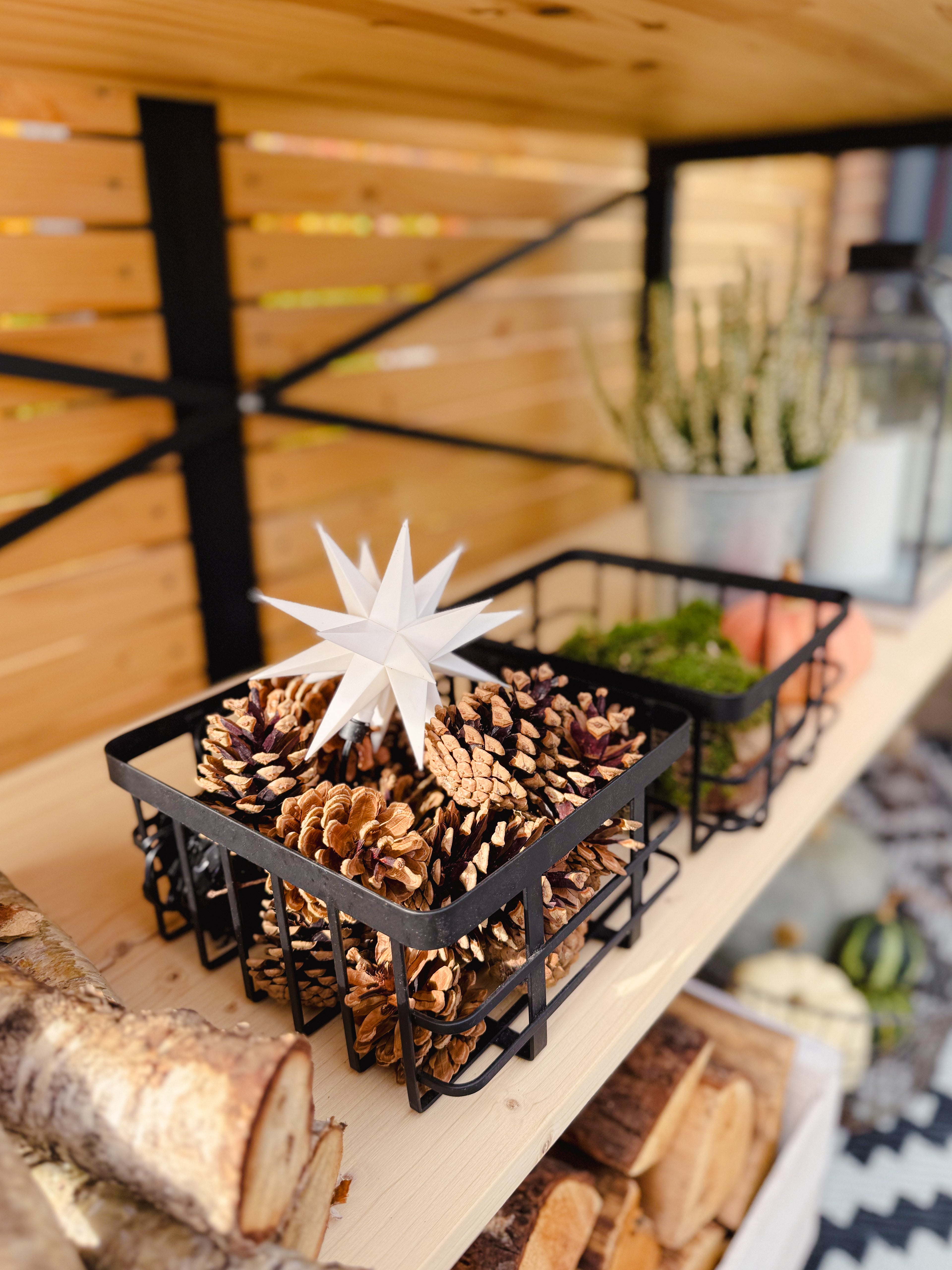 Outdoor LED Leuchtstern/ Mini-Kunststoffstern für aussen , weiß  Ø 12cm mit Batteriefach und Timer