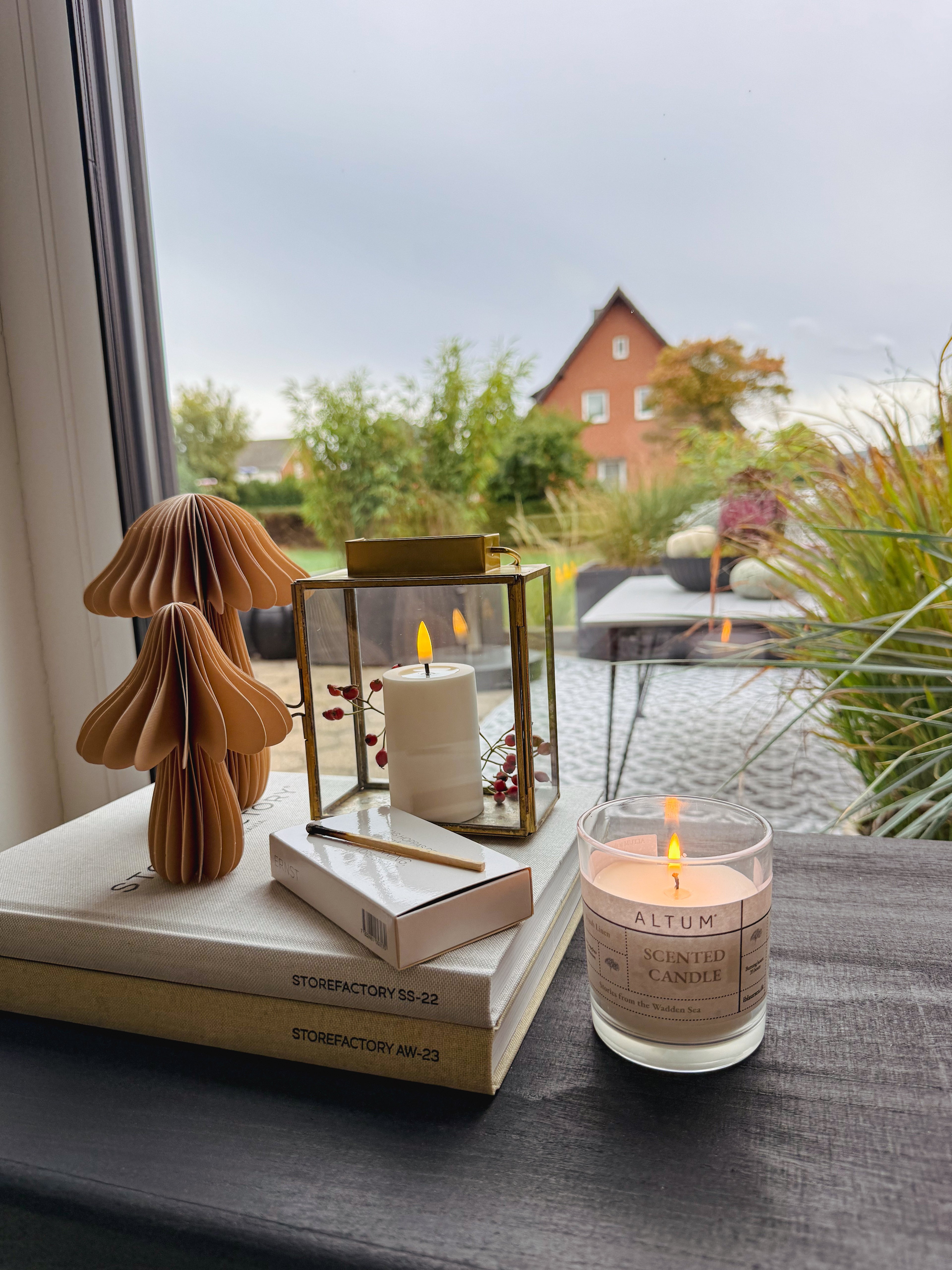 Pilze Papier, Svamp - 2 tl. Set