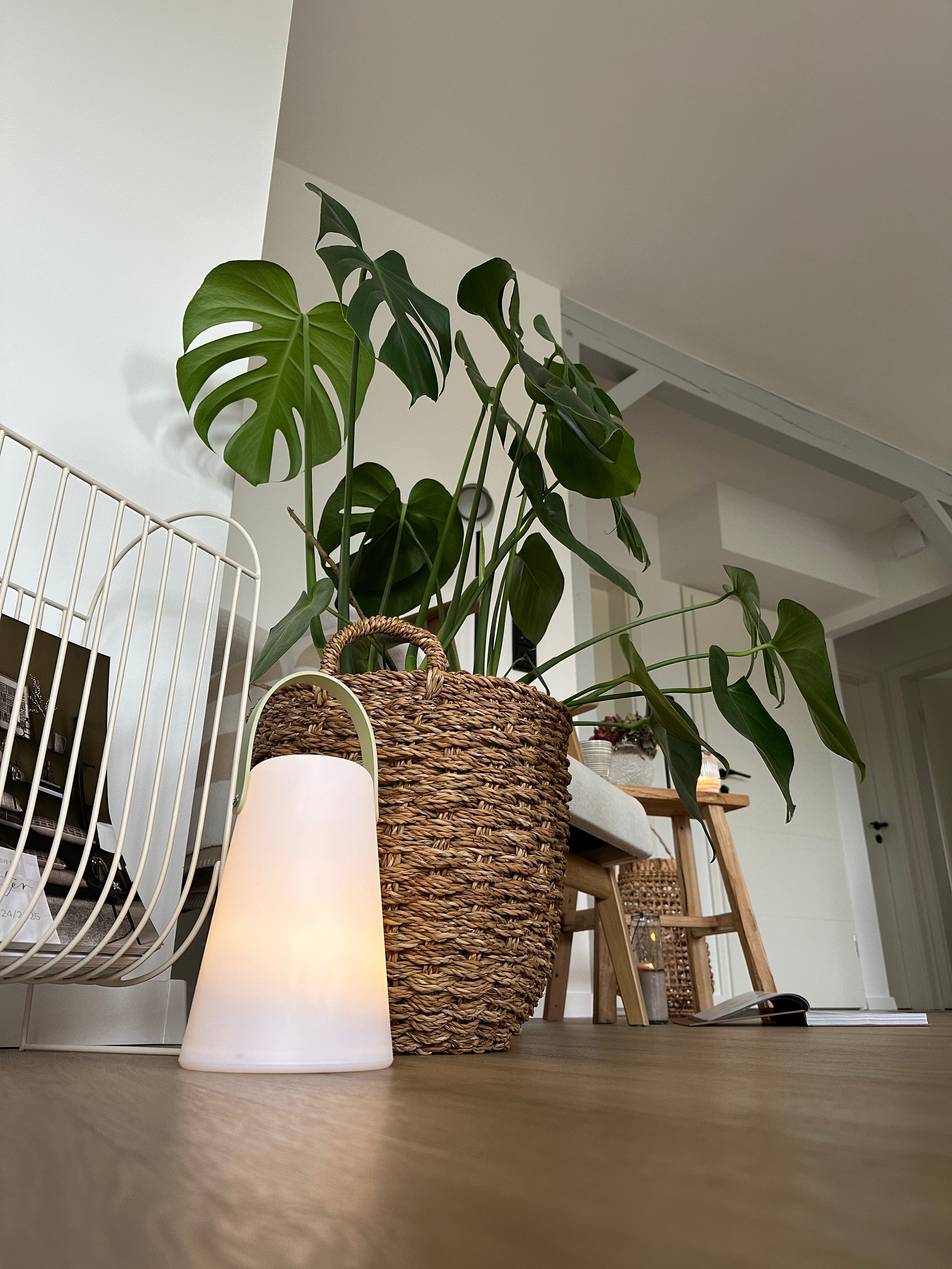 LED Laterne Ocean Home Society, batteriebetrieben - 3 Designs