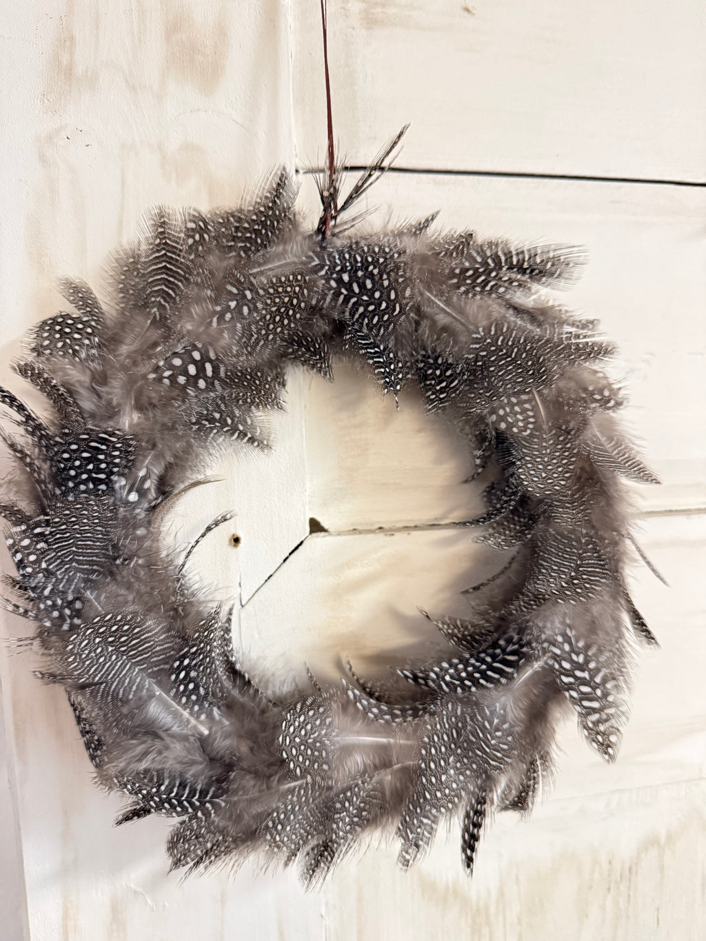 Kranz Perlhuhnfedern, beidseitig, natur -  Ø 20 cm