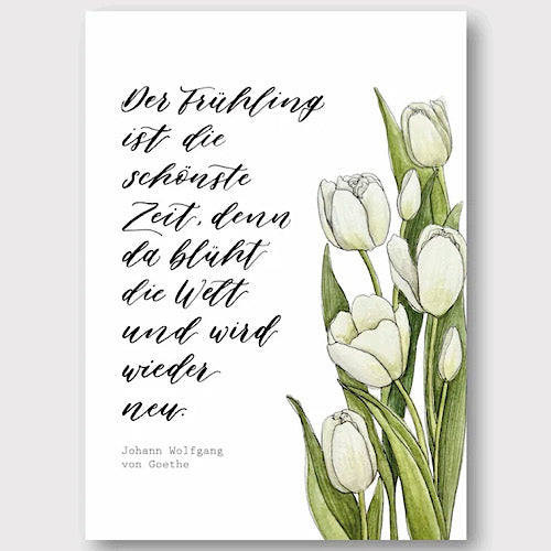 Postkarte "TULPEN" A6