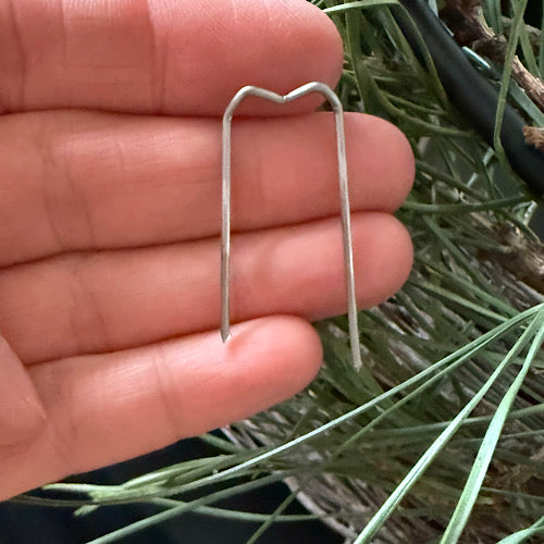 Patenshaften - Krampen zum Binden von Kränzen - 20 Stück