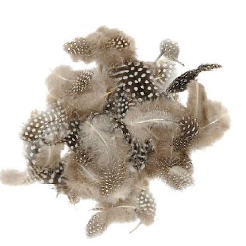 Perlhuhnfedern - Dekobox, natur - 10 g
