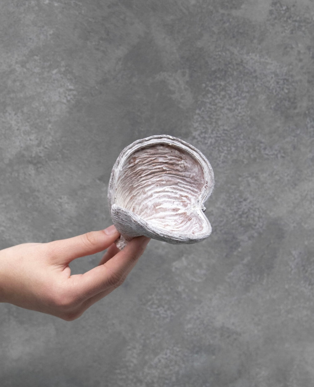 Wilde Mandelnuss – getrocknete Schalen im 3er-Set, White-Wash