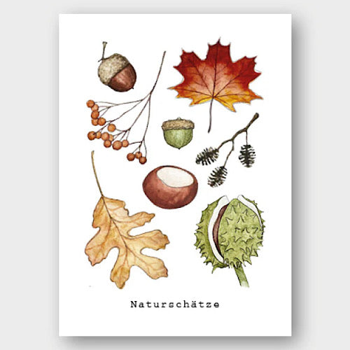 Postkarte "Naturschätze" - A6
