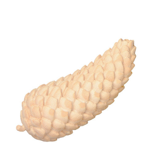 Zirbenholz Fichtenzapfen, natur - 10 cm