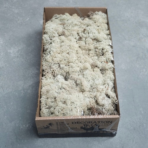 Island Moos Natural - 500 g