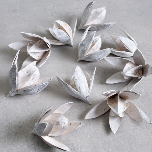 Wild Lily Flowers – getrocknete Lilienkapseln im 3er-Set, White