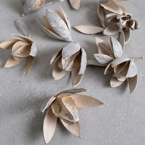 Wild Lily Flowers – getrocknete Lilienkapseln im 3er-Set, Sandstone