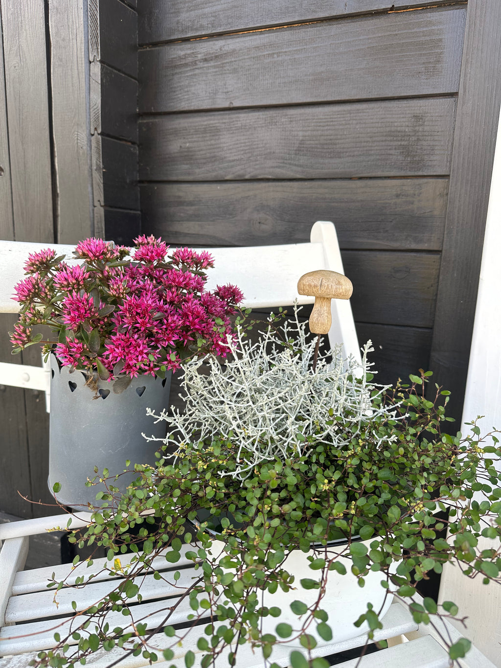 Pilz Stecker, Holz/ Metall, natur