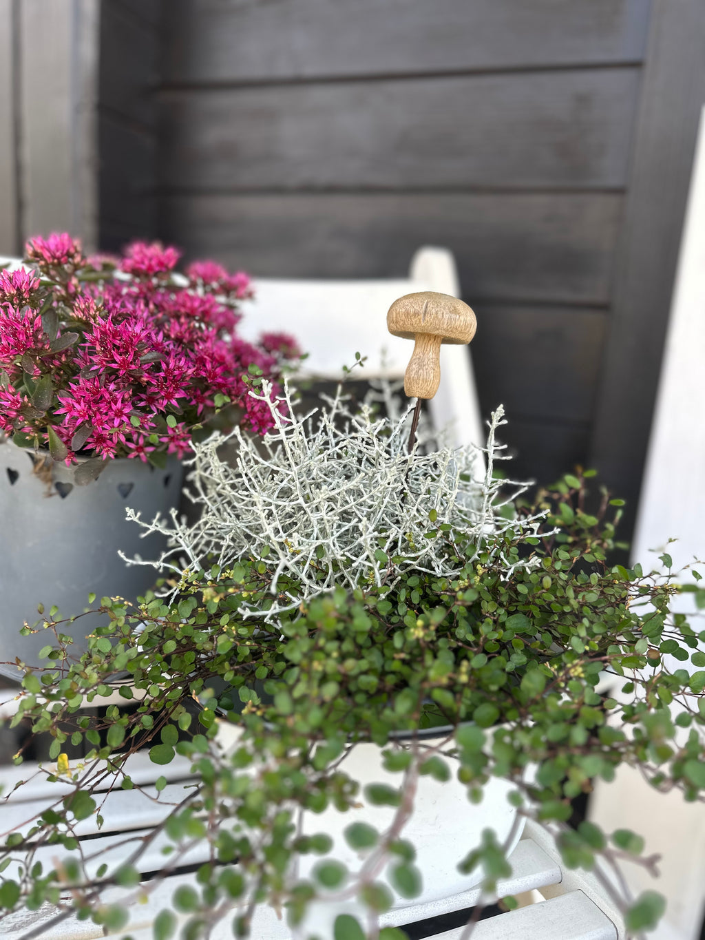 Pilz Stecker, Holz/ Metall, natur