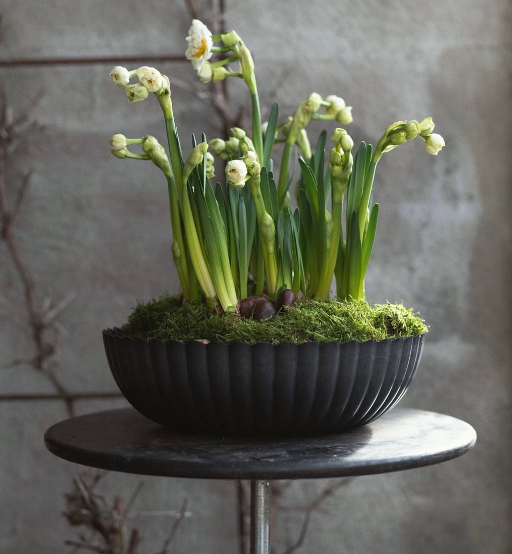 Pflanzschale/ Schale Recyling Kunststoff, grau/ schwarz - Ø 29 cm