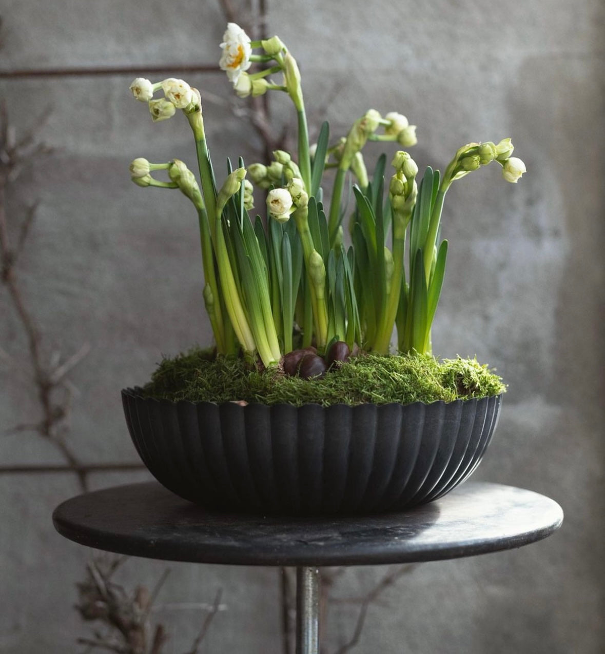 Pflanzschale/ Schale Recyling Kunststoff, grau/ schwarz - Ø 29 cm