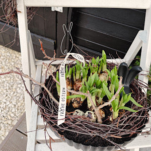 2 Meter Band Baumwolle "Frohe Ostern", creme - Geschenkband