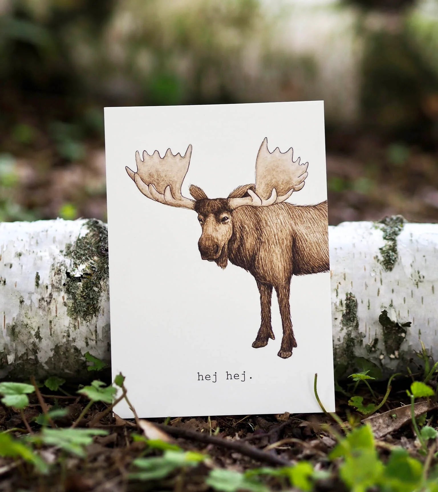 Postkarte "Elch" - A6