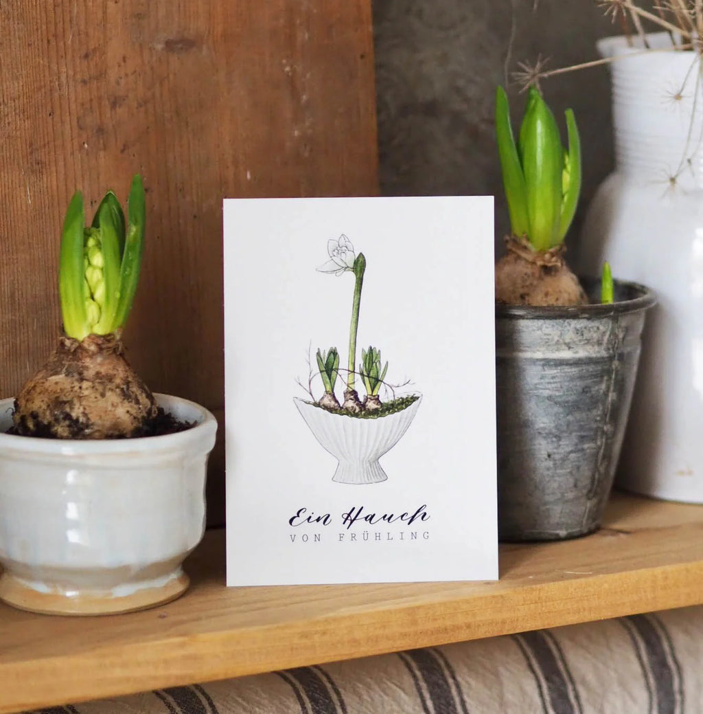 Postkarte "AMARYLLIS" Ein Hauch von Frühling - A6