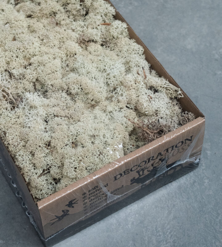 Island Moos Natural - 500 g