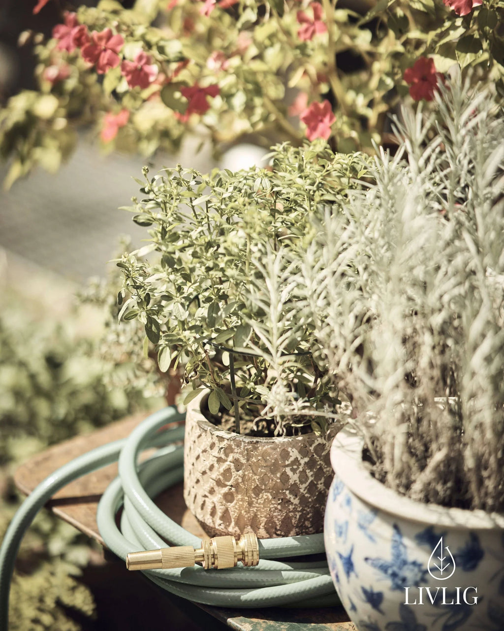 Design Gartenschlauch Graceful Green - 10, 20 & 30 Meter